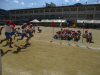 IMG_0590