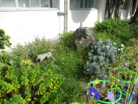 学校園
